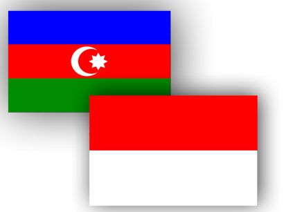 Фото: Индонезия заинтересована в расширении энергосотрудничества с Азербайджаном / Новости бизнеса и экономики