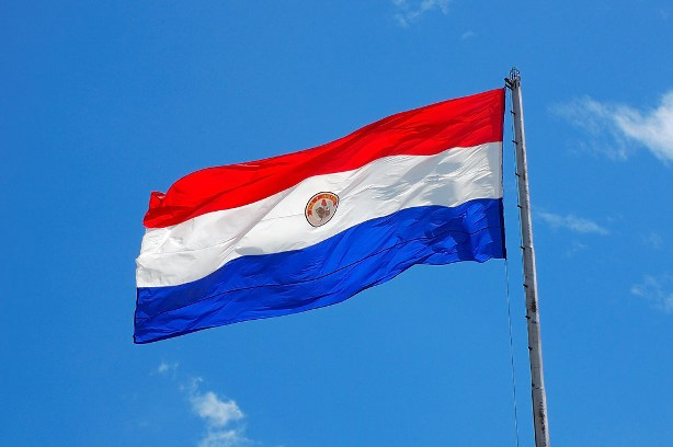 В Парагвае восемь военных погибли в результате нападения боевиков