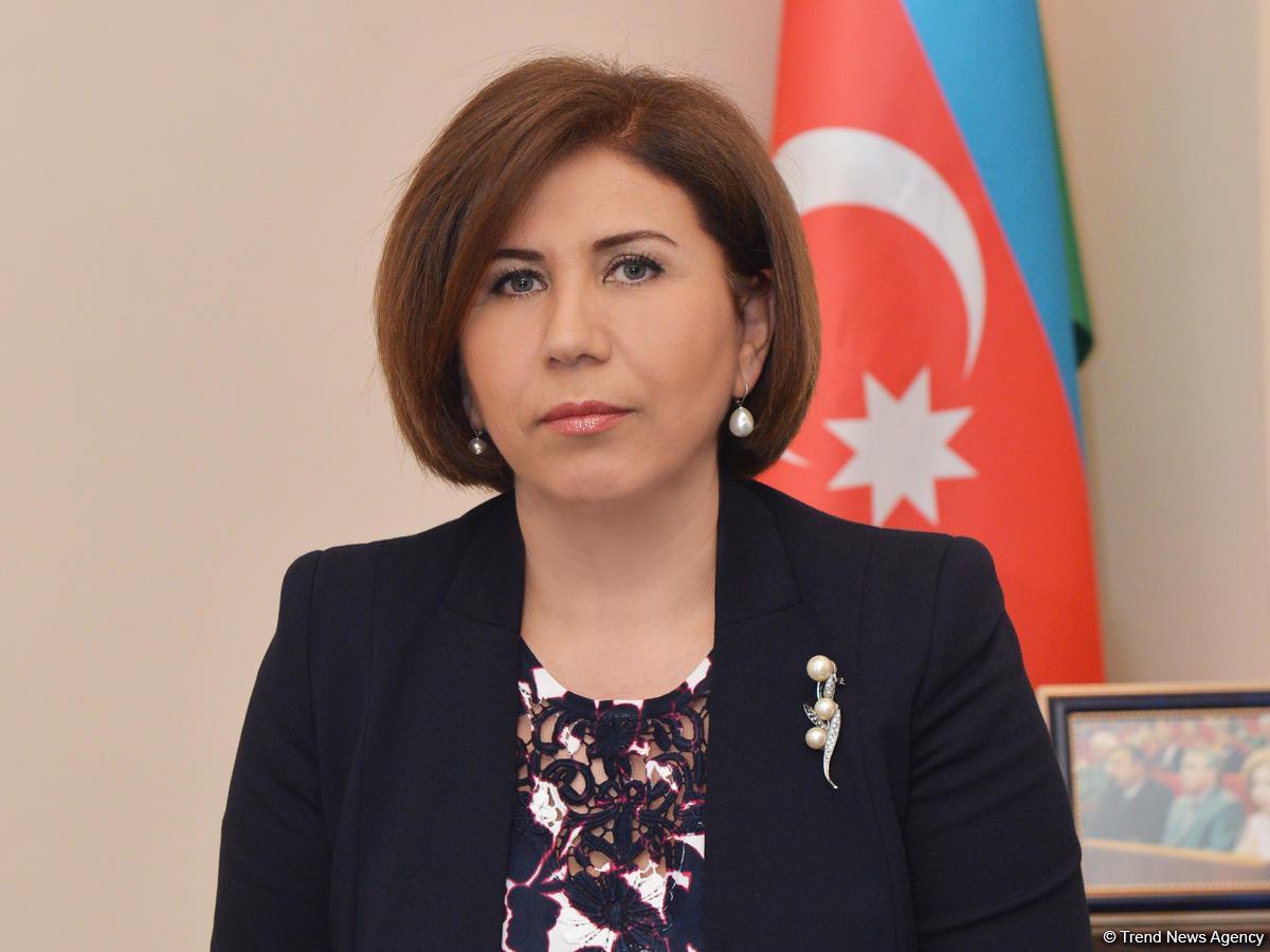 Bahar Muradova: "Dövlət Azərbaycan mətbuatını yüksək dəyərləndirir"