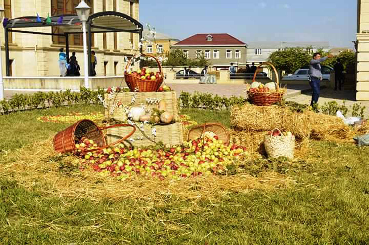 В Азербайджане проходит вкусный Яблочный фестиваль (ФОТО)