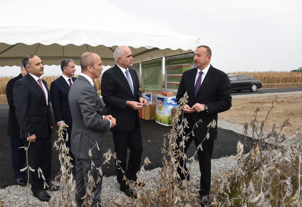 Президент Ильхам Алиев ознакомился  с деятельностью  частного пилотного  зерноводческого хозяйства в Бейлагане (ФОТО)