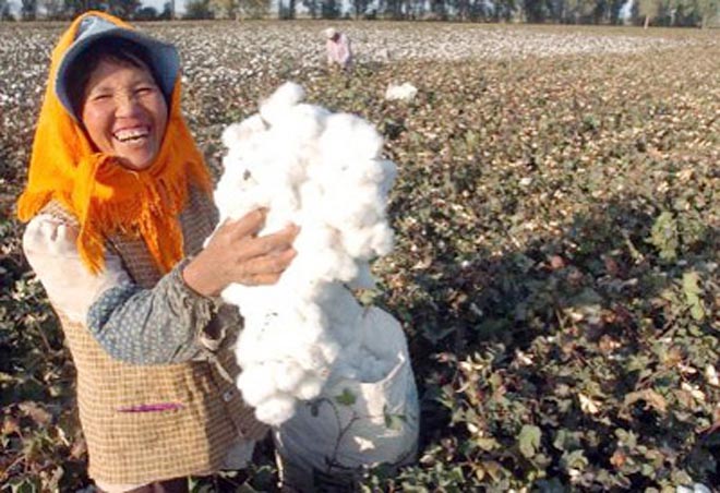 Number of countries importing Turkmen cotton products increased