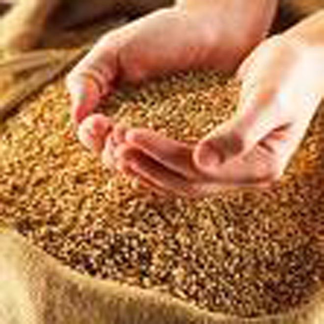 Kazakhstan to up flour exports to Iran, India and China