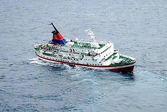 Турецкий грузовой паром затонул в Мраморном море