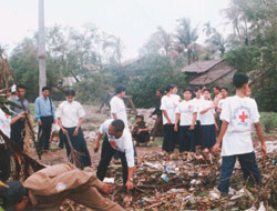 UN seeks 187 million dollars for Myanmar's cyclone victims