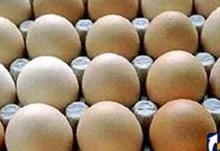 Import of big volume of eggs to Iran prevented