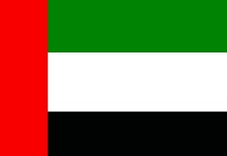 UAE willing to support non-sectarian government transformation in Syria