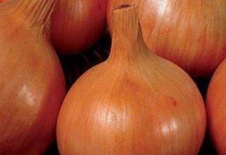 India to import 11,000 tonnes of onions from Turkey amid rising prices