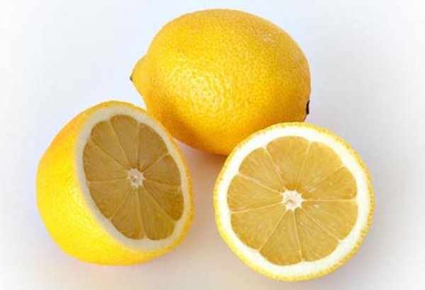 Azərbaycanda yeni çay və limon sortları yaradılır