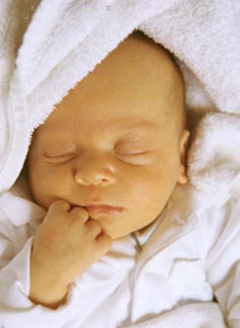 На бакинской свалке обнаружен новорожденный младенец