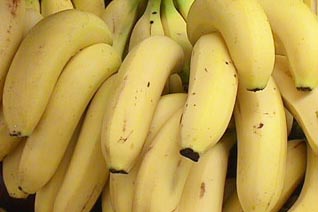 В Туркменистане начали выращивать бананы
