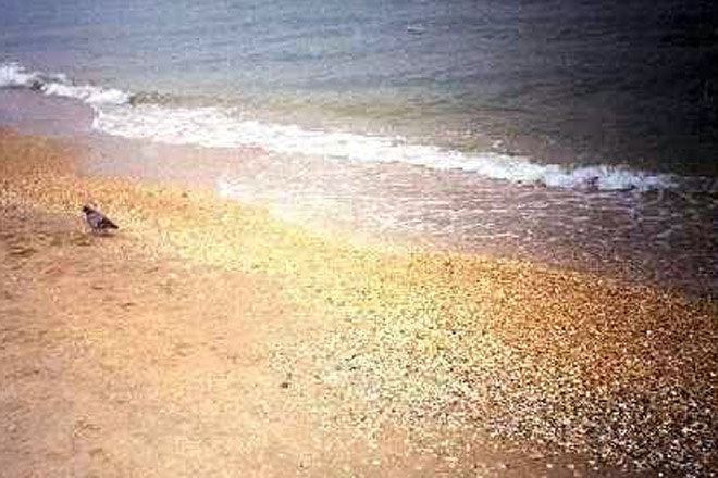 Şıx çimərliyinin sahil zolağı tullantılardan təmizlənib
