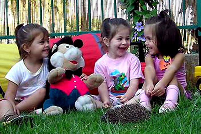 Для усыновления детей в Азербайджане зарегистрировано 10 иностранных семей