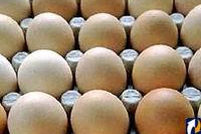 Britain to probe risk of contaminated German egg supplies