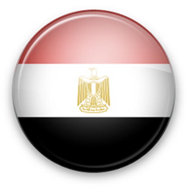 Egypt calls upon UN to support draft resolutions on Palestine