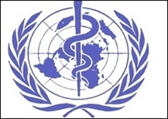 UN review committee on swine flu meets with drug makers