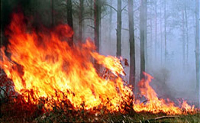 Australia braces for "highest-risk" bushfire season