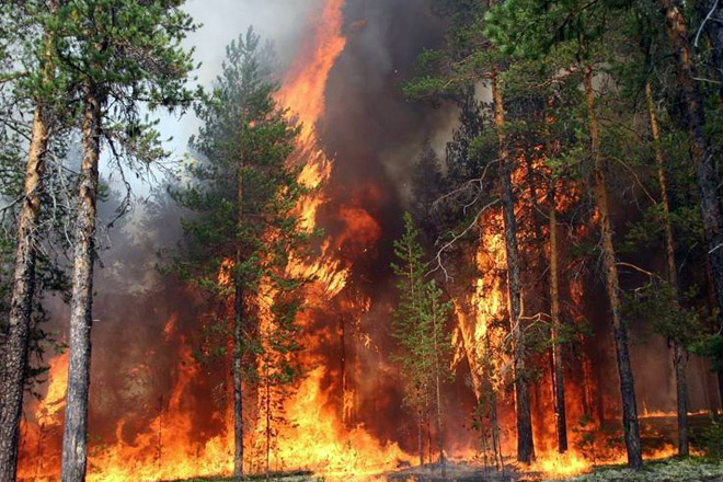 На юго-западе Турции горят леса