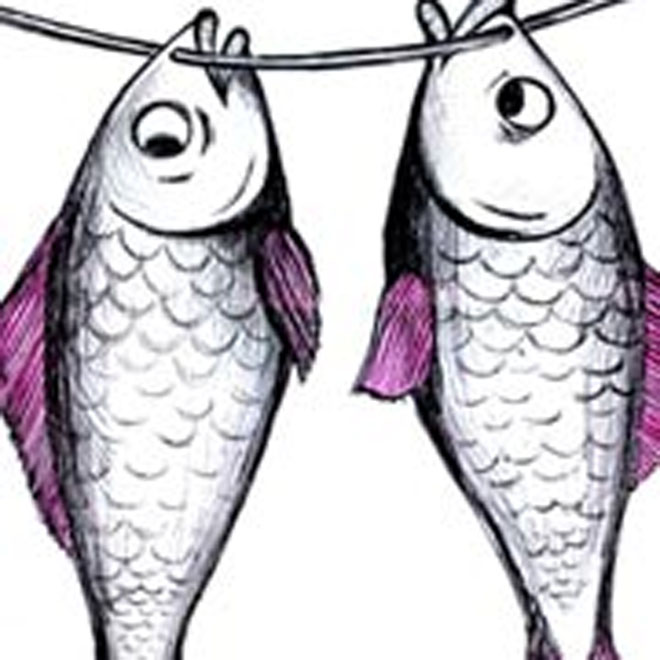 Бакинцев предупредили об опасности употребления в пищу "уличной" рыбы
