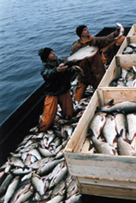 More than 50 fishermen lost in Caspian Sea