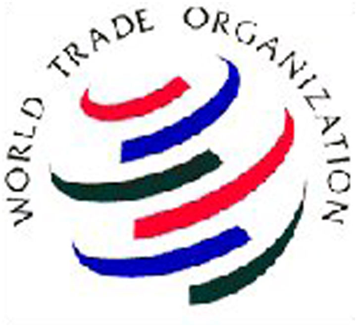 Russia's accession to WTO, OEDC to promote democracy - U.S. report