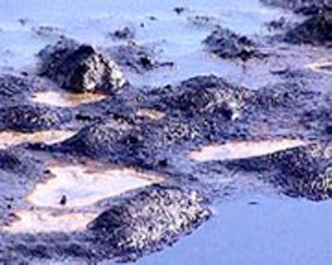 В Батуми произошла утечка нефти в местную реку