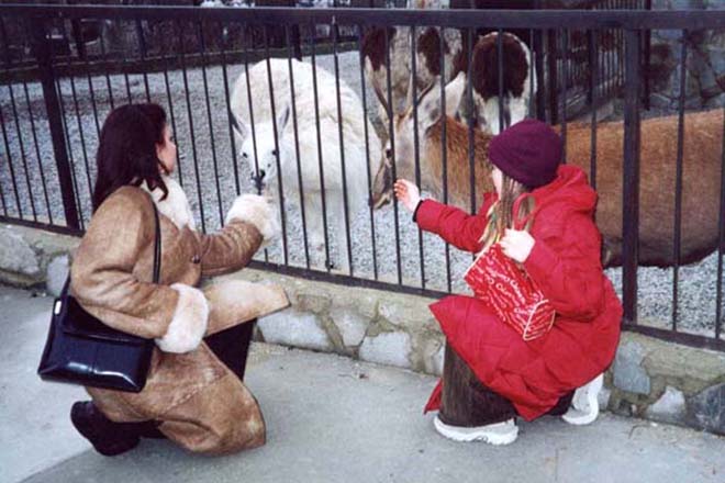 В Бакинском зоопарке наступает зима