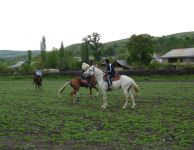 Карабахские кони достойны королей