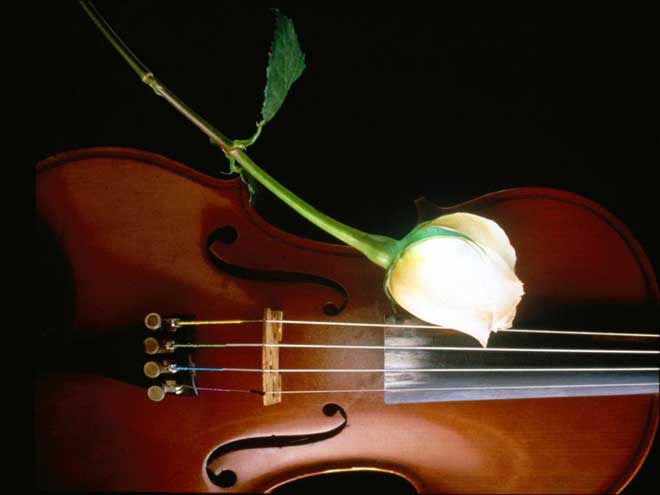 Любовь, коралловые розы, скрипка  и Баку