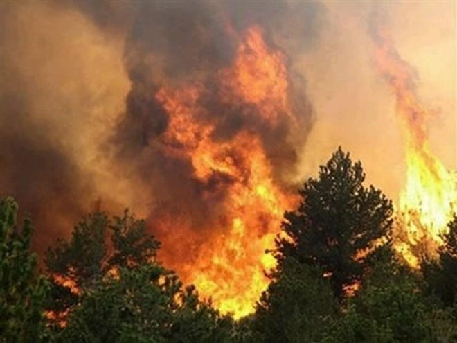 В Грузии в горной Сванетии распространяется лесной пожар