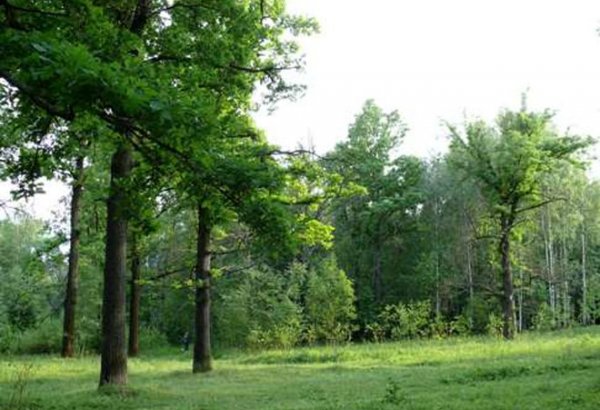 FLEG II helps mobilize young foresters in Azerbaijan