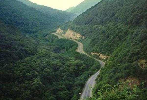 В Азербайджане определены не входящие в лесной фонд зоны озеленения