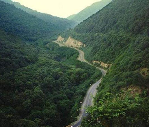 В Азербайджане определены не входящие в лесной фонд зоны озеленения