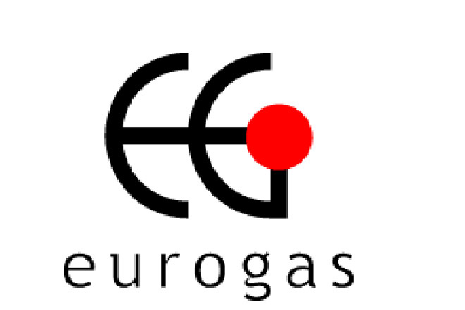 EU Countries to Increase Gas Demand More Than 40%: Eurogas