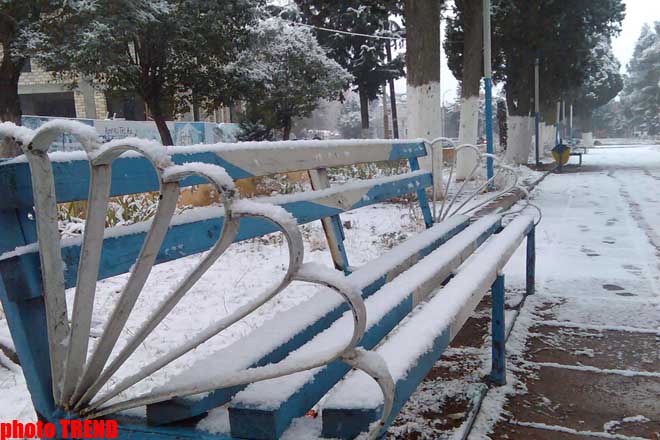 В Гяндже выпал снег (фотосессия)