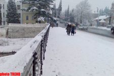 В Гяндже выпал снег (фотосессия)