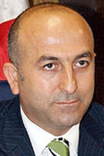 Турция не признает независимость Абхазии и Южной Осетии - Президент ПАСЕ