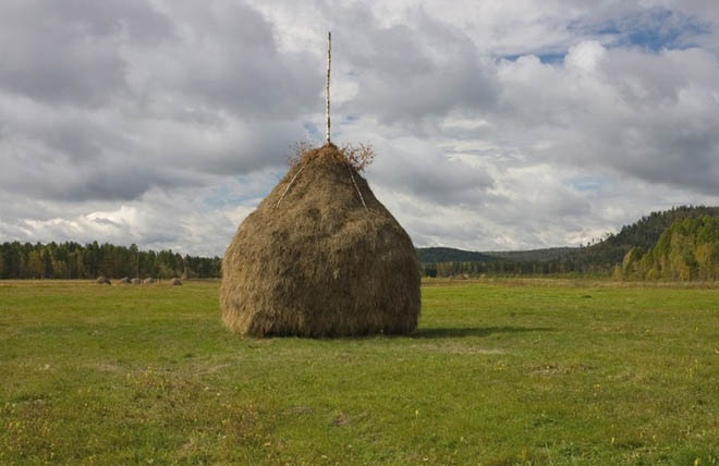 Стог сена 6 букв сканворд.