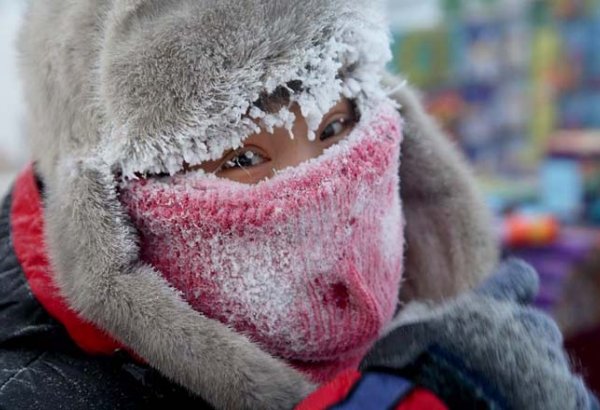 Десятки людей в Европе стали жертвами похолодания и снегопадов