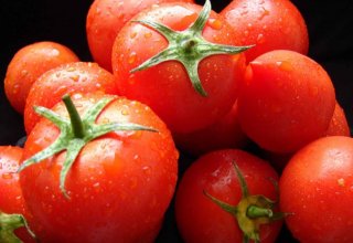 Туркменистан назвал объем экспорта томатов из Лебапа