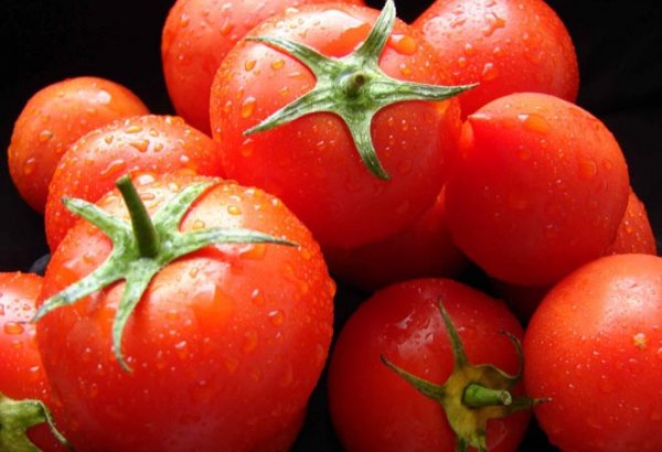 Azərbaycan Rusiya bazarına pomidor ixracını artırıb