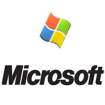 Microsoft to share experiences for e-government project