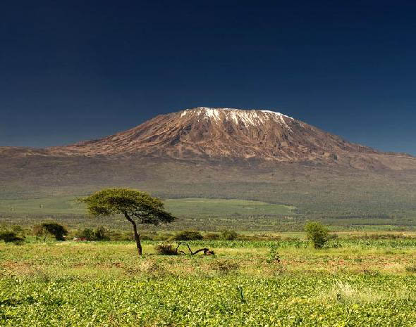 Снег на Килиманджаро может растаять через 20 лет