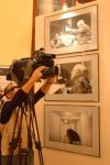 Виртуозная  тяжеловесная фотоколлекция  Александра Кремер-Хомасуридзе длиною в 15 лет