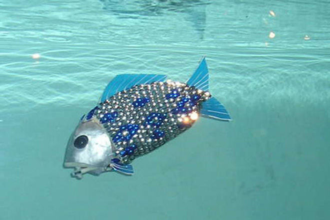 Ученые нашли у электрических рыб "переключатель мощности"