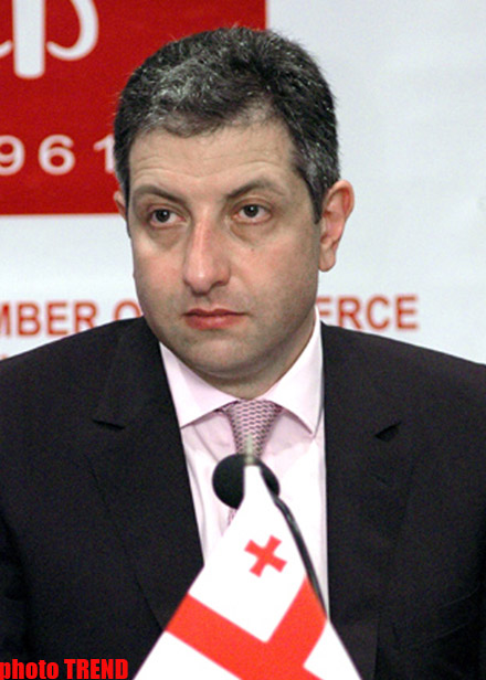 Грузинская оппозиция по-разному относится к визиту Ногаидели в Москву