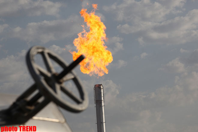 "Нафтогаз Украины" протранзитировал 9,5 млрд кубов газа из РФ в январе 2010 года