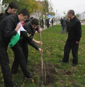 В 2010 году в Азербайджане будет "зеленая революция"