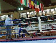 Азербайджанские спортсмены завоевали золотые медали кубка мира по кунг-фу