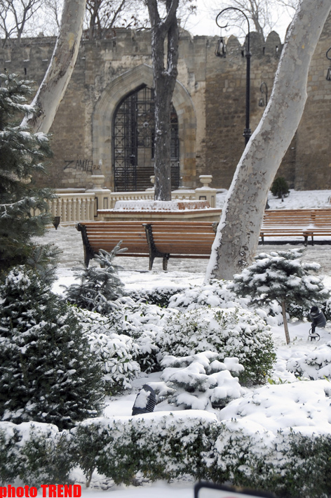 Snowfall in Baku (PHOTOSESSION)